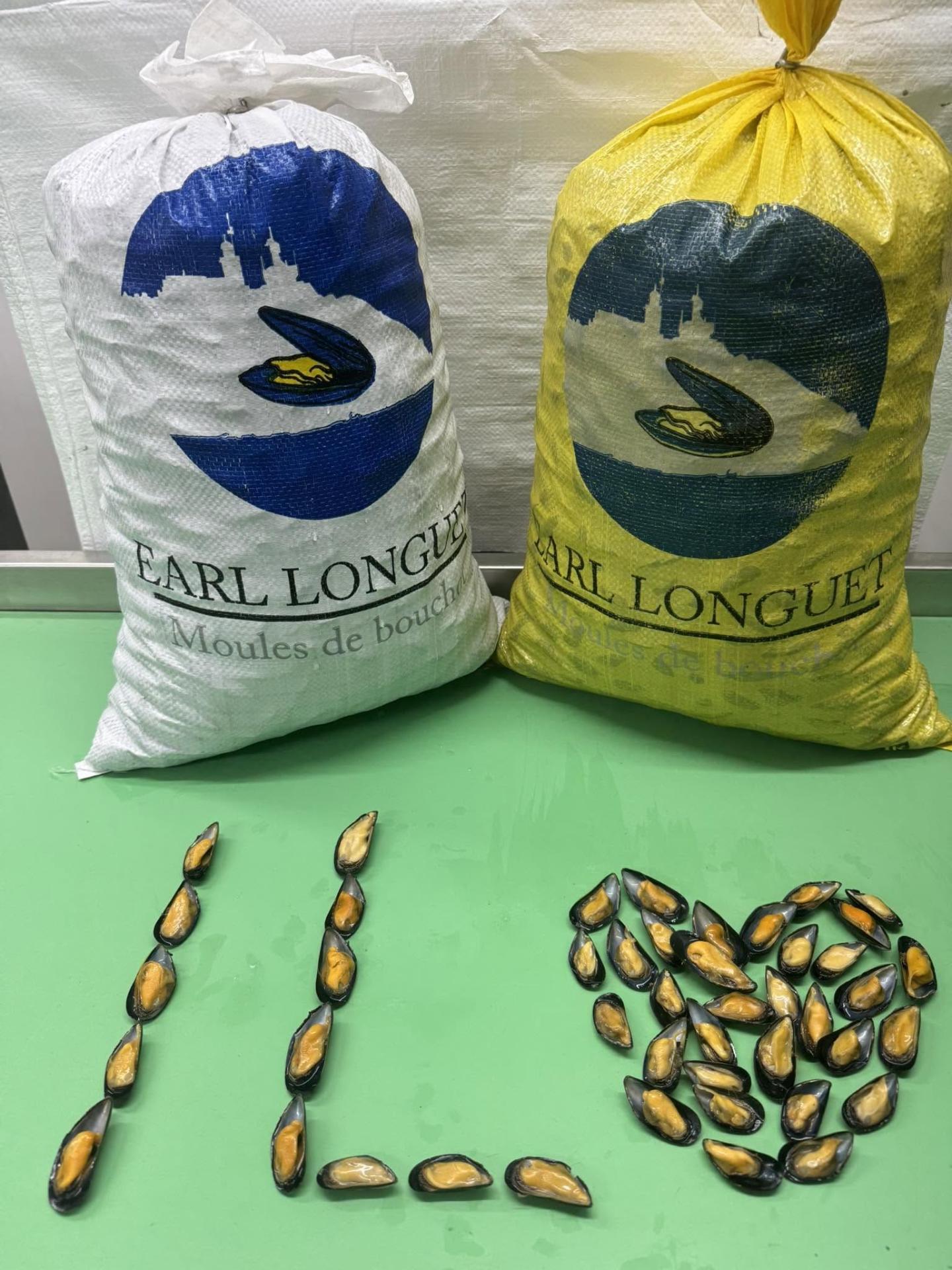 Sacs EARL Longuet de moules de bouchot