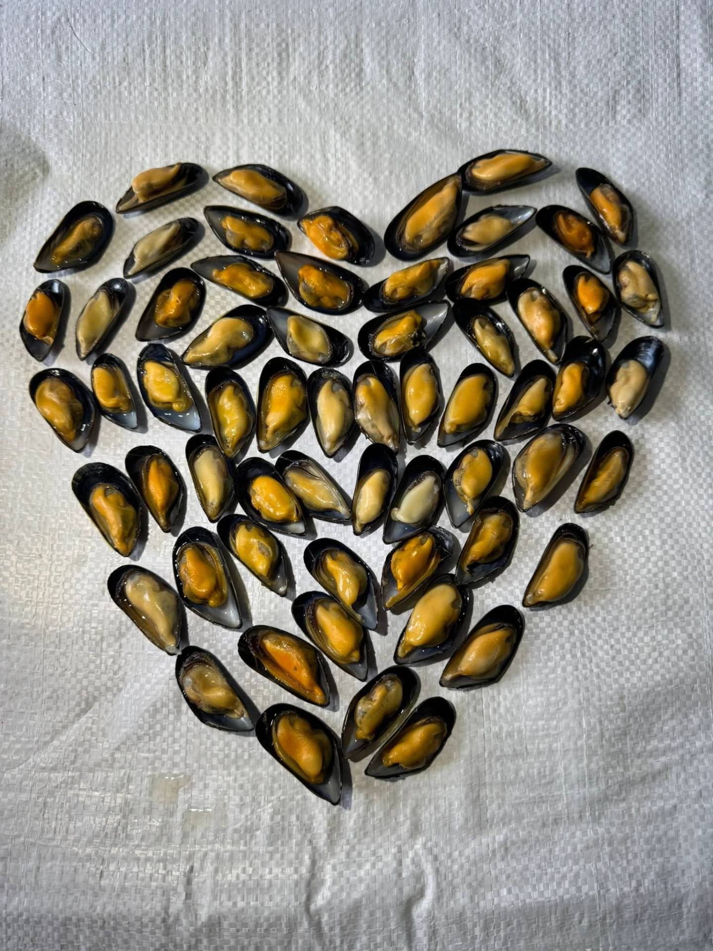 Moules de bouchot fraîches